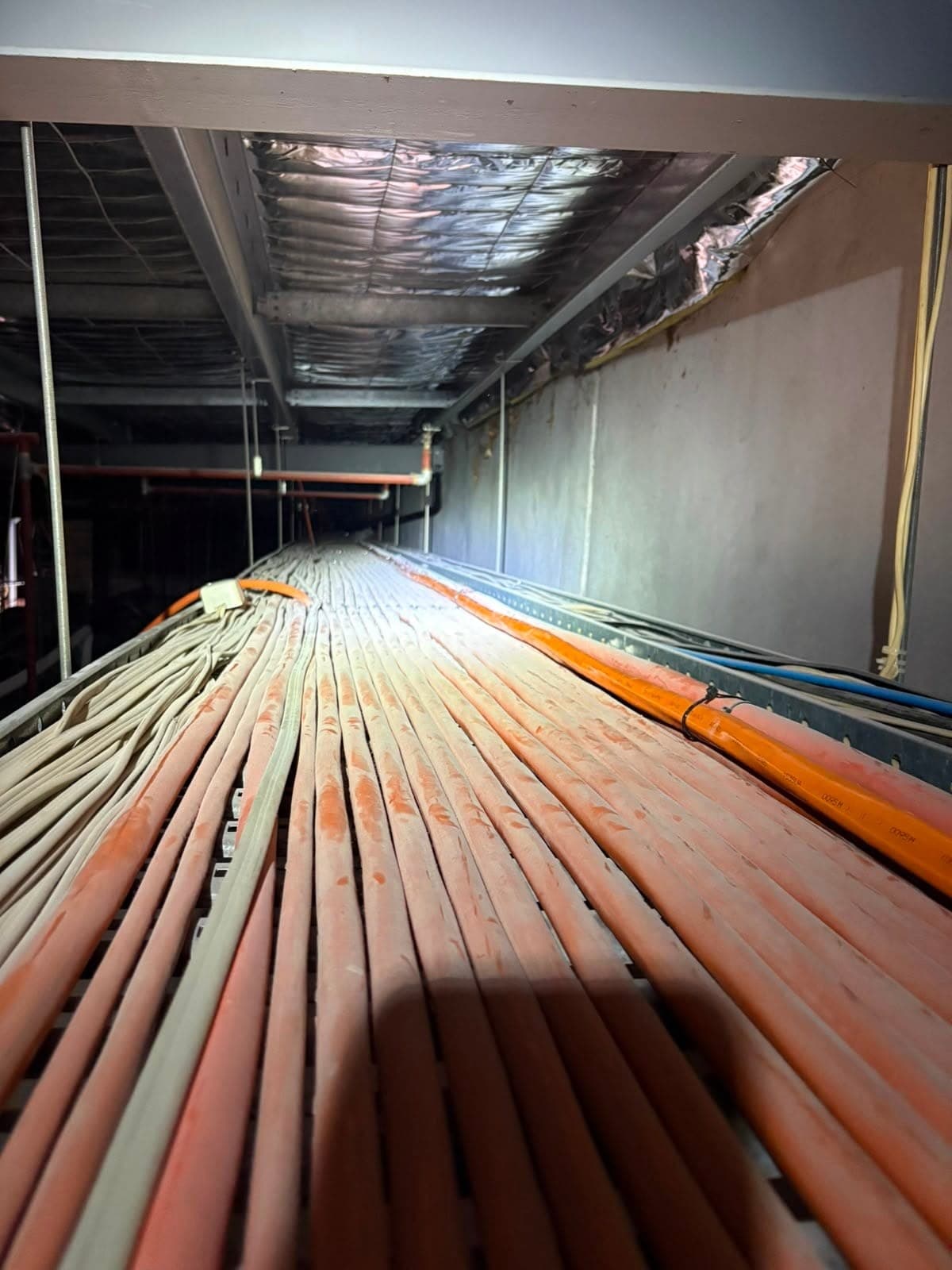 Rows of orange electrical cable run through a ceiling space